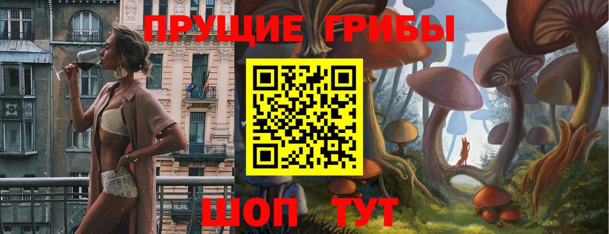 Галлюциногенные грибы GOLDEN TEACHER  Вход с VPN  Сосновый Бор  Псилоцибиновые грибы Cubensis 